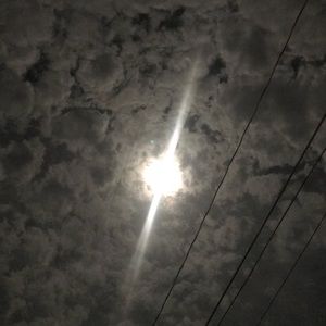 Meet your Posher, Itzel